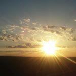 Profile Picture of Cody Shank (@shankcody) on Instagram