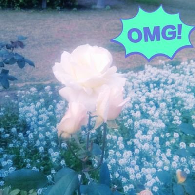 Profile Picture of Usha Prajapati (@UshaPrajapat1) on Twitter