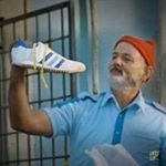 Profile Picture of Jesse Zissou Talbot-Harvey (@jessezissou) on Instagram