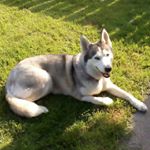 Profile Picture of Mark Fenwick (@mark.fenwick.904) on Instagram