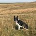 Profile Picture of Julie Gilroy (@julie.gilroy.9822) on Facebook