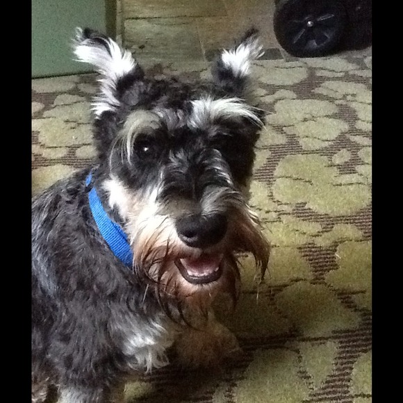 Jackie Rainey - Poshmark Profile Picture of Jackie Rainey (@dullshot) on Poshmark