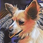 Profile Picture of Larry (@luff_larry) on Instagram