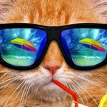 Profile Picture of jesse marcel gaboury (@mischievous_jesse) on Instagram