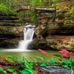 Profile Picture of Marsha Wiley (@Marsha-Wiley) on Facebook