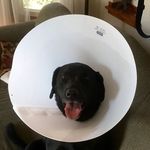 Profile Picture of Terry Wellman (@terry.wellman.520) on Instagram