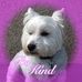 Profile Picture of Lynne Huxtable (@lynne.huxtable.1) on Facebook
