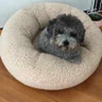 Profile Picture of Hailey Chung (@hailey-chung-6) on Quora