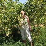 Profile Picture of Chris Olsson (@chris.bolet) on Instagram