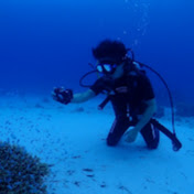 Profile Picture of SHIN WATANABE (@shinwatanabe4334) on Youtube