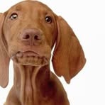 Profile Picture of Mark Ziker (@Mark-Ziker) on Facebook