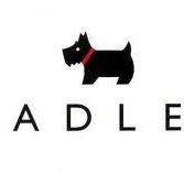 Profile Picture of Thomas Stansfield (@ThomasStansfi17) on Twitter