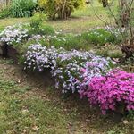 Profile Picture of Marilyn Jones Mayben (@maybenmarilyn) on Instagram