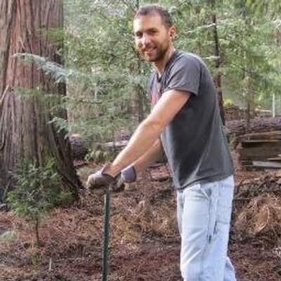 Profile Picture of Robert Storey (@@resting_bird) on Twitter