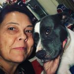 Profile Picture of Janette Brendish (@rooster_girl007) on Instagram