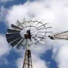 Profile Picture of Tami Anderson Rust (@trust71) on Pinterest