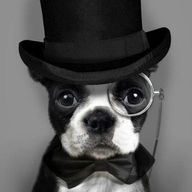 Profile Picture of Kate Casey (@blevans) on Pinterest