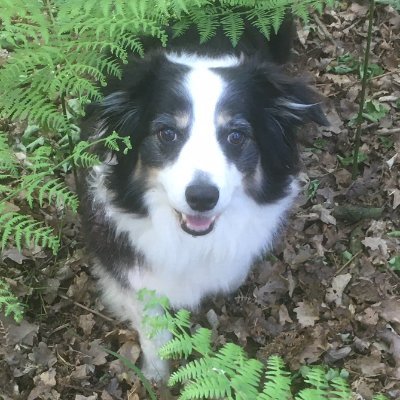 Profile Picture of Matt Nuttall (@mattnuttall5) on Twitter