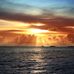 Profile Picture of David Pepe (@david.pepe.3956) on Facebook