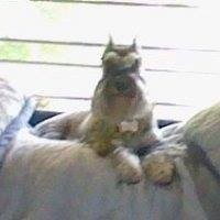 Profile Picture of Bobbie Steinbach (@bobbie-steinbach) on Quora