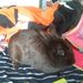 Profile Picture of Joy Reinert (@joyala22) on Pinterest