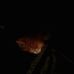 Profile Picture of Jamie Anstett (@jamie.anstett.9) on Facebook