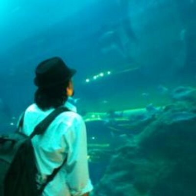 Profile Picture of Paul Kevin (@Paull_777) on Twitter