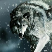 Profile Picture of Matthew Werner (@BlackWolfS01) on Youtube