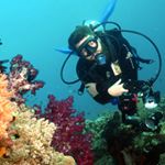 Profile Picture of James Daniel Dawson (@jamesgoesdiving) on Instagram