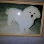 Profile Picture of Patrick Jasinski (@jasinskipatrick) on Instagram