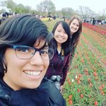 Profile Picture of Kim Ellsworth (@dancinginkspots) on Instagram