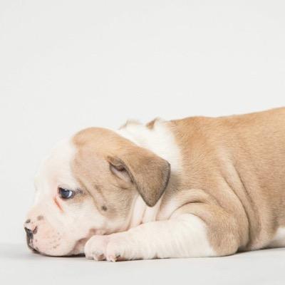 Profile Picture of Stuart Geiger (@SGEMdash) on Twitter