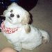 Profile Picture of Jo Kuriki (@scooter1203) on Pinterest