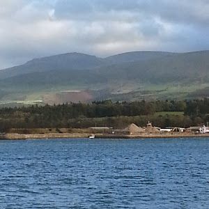 stevebetton - Tiktok Profile Picture of stevebetton (@stevebetton) on Tiktok