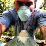 Profile Picture of David Muise (@spection) on Instagram