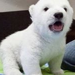 Profile Picture of MacJames (@macjames5554) on Instagram