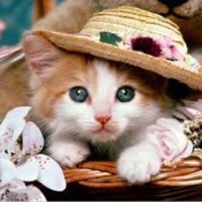 Profile Picture of Carl Manuel Gultiano (@gults_23) on Twitter