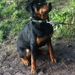 Profile Picture of Paula Schappert Black (@thunderbear324) on Pinterest