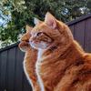Profile Picture of Peter Cunningham (@@petercunningham22) on Tiktok