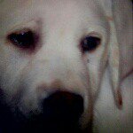 Profile Picture of matt fournier (@mfournier29) on Instagram