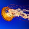 Profile Picture of Keith Freitag (@freitag1010) on Pinterest