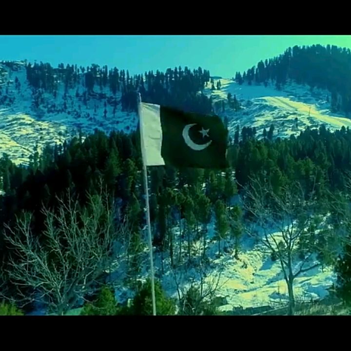 Profile Picture of Sayed Abbas (@sayedhassanabbas11092) on Tiktok