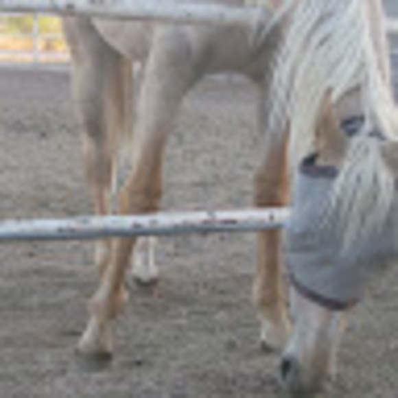 Profile Picture of Bryana Brooks (@naninehalem) on Poshmark