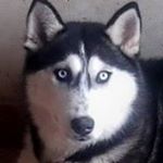 Profile Picture of Karine Cindy Quinton Robert (@karinecindyquinton) on Instagram