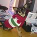 Profile Picture of Sylvia Howe (@sylvia.howe.94849) on Facebook