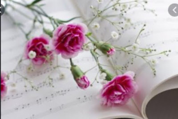 Profile Picture of Maggie Spelman (@maggiespelman) on Poshmark