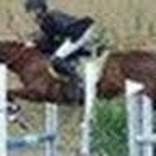 Jonathan Saul - Youtube Profile Picture of Jonathan Saul (@saulhvalsoe) on Youtube