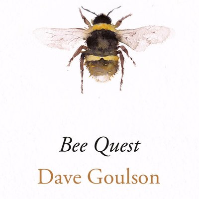 Profile Picture of Dave Goulson (@DaveGoulson) on Twitter