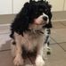 Profile Picture of Catherine Tideswell (@catherine.tideswell.7) on Facebook