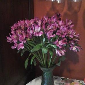 Profile Picture of Gena Knights (@GenaKnights) on Twitter